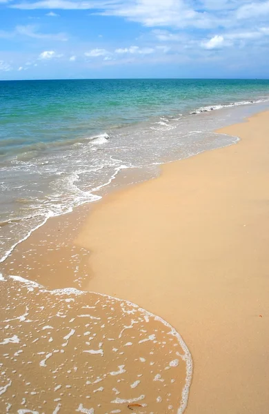 tropikal Karayipler kumsalda badana