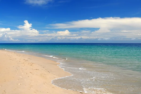 tropikal Karayipler kumsalda badana