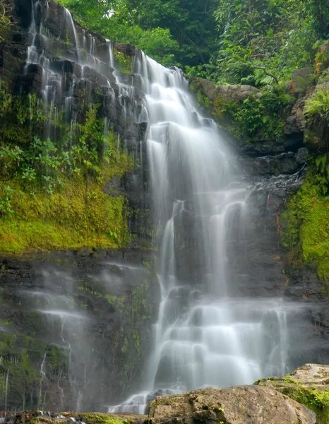 Waterval door dichte bos Stockafbeelding