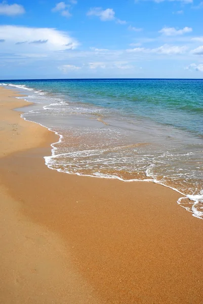 Mleko wapienne na tropikalnej plaży Obraz Stockowy