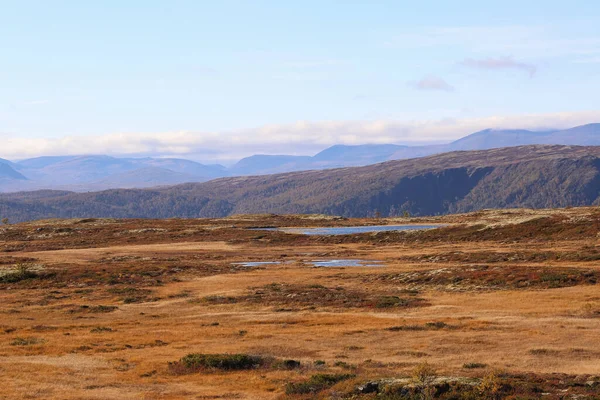 Forollhogna Ulusal Parkı'nda Sonbahar , Norveç