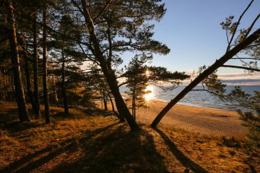 Saulkrasti 'deki kumsal renkli günbatımında. Rigas Körfezi Görünümü.