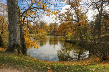 Hint yazı boyunca Letonya 'daki Cesis kasabasına park et.