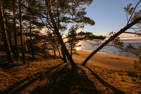 Piaszczysta Plaża Nad Zatoką Rigas Miejscowości Saulkrasti Łotwa — Zdjęcie stockowe