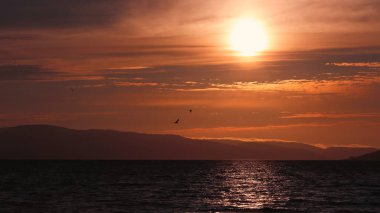 Trondheim fiyortlarında gün batımı, tarım alanı Byneset, Trondheim