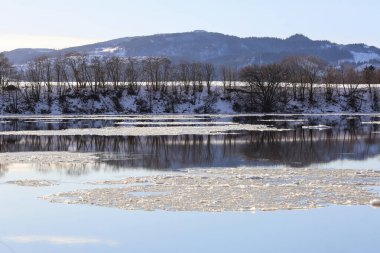 Norveç 'in Trondheim kenti yakınlarındaki Gaula nehrinde sel baskını, Gaulosen doğa koruma alanı.