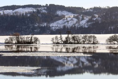 Norveç 'in Trondheim kenti yakınlarındaki Gaula nehrinde sel baskını, Gaulosen doğa koruma alanı.