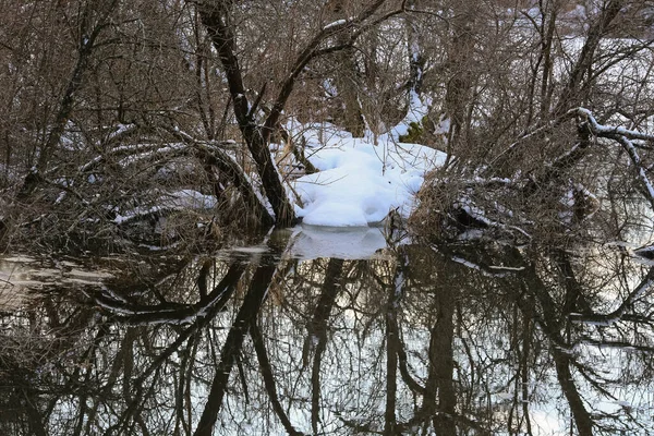 Inundación Primavera Río Gaula Situado Cerca Ciudad Noruega Trondheim Reserva — Foto de Stock