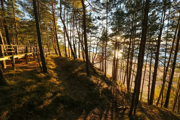 Piaszczysta Plaża Miejscowości Saulkrasti Widokiem Zatokę Rigas — Zdjęcie stockowe