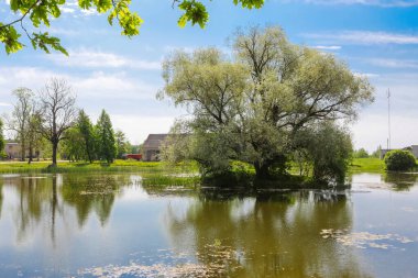 Letonya kırsal kesimi, Kabile köyündeki gölet.