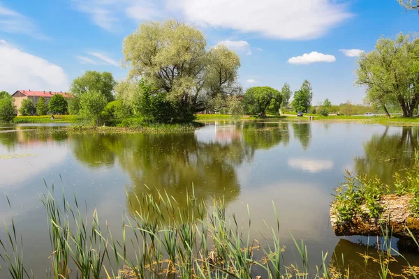 Letonya kırsal kesimi, Kabile köyündeki gölet.