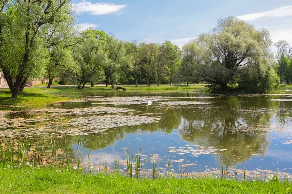 Letonya kırsal kesimi, Kabile köyündeki gölet.