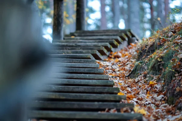 Autumn Background Wooden Stairs Yellow Leaves Park — стоковое фото