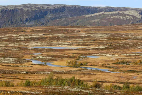 Herfst Indische Zomer Het Forollhogna National Park Noorwegen — Stockfoto