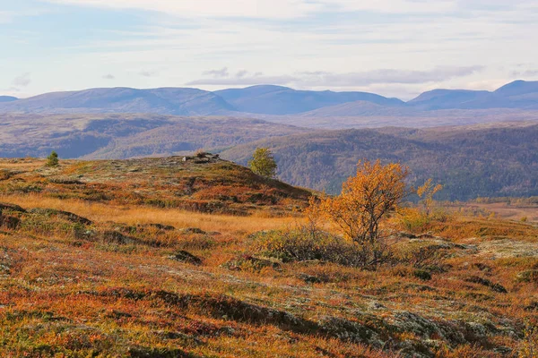 Autumn Indian Summer Forollhogna National Park Norway — 스톡 사진