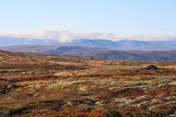 Verano Indio Otoño Parque Nacional Forollhogna Noruega — Foto de Stock