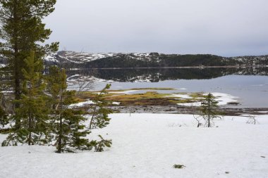 Norveç 'te bahar mevsimi, Trondelag' da yer alan Vaavatnet Gölü 'ndeki eriyen karın manzarası.
