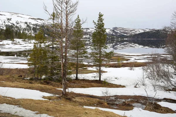 Spring Norway View Melting Snow Lake Vaavatnet Located Trondelag — Zdjęcie stockowe