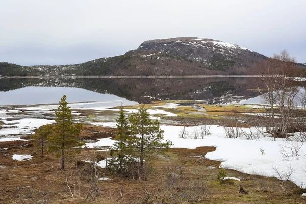 ノルウェーの春 Trondelagに位置するVaavatnet湖での融雪の眺め — ストック写真