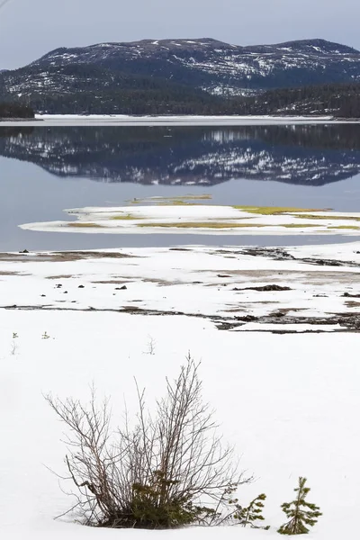 Norveç 'te bahar mevsimi, Trondelag' da yer alan Vaavatnet Gölü 'ndeki eriyen karın manzarası.