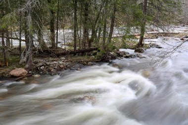 Norveç 'te bahar seli, Trondelag' da Selbu Gölü yakınlarında.