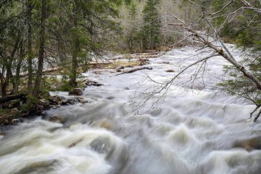 Norveç 'te bahar seli, Trondelag' da Selbu Gölü yakınlarında.