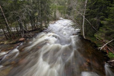 Norveç 'te bahar seli, Trondelag' da Selbu Gölü yakınlarında.