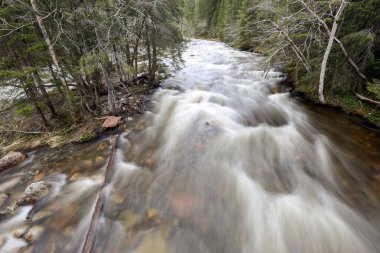 Norveç 'te bahar seli, Trondelag' da Selbu Gölü yakınlarında.