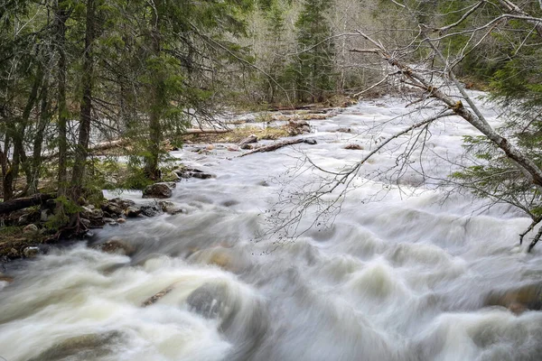 Norveç 'te bahar seli, Trondelag' da Selbu Gölü yakınlarında.