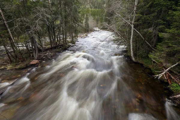 Norveç 'te bahar seli, Trondelag' da Selbu Gölü yakınlarında.