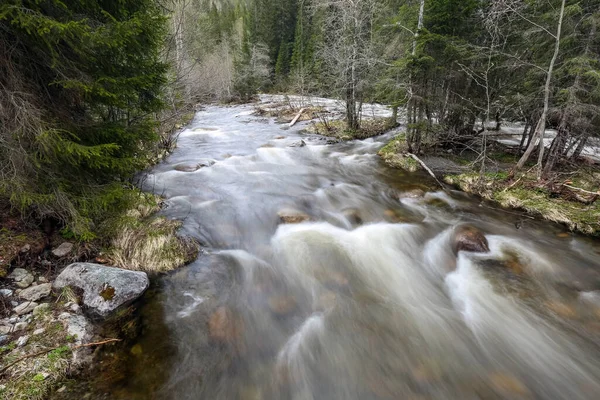 Norveç 'te bahar seli, Trondelag' da Selbu Gölü yakınlarında.