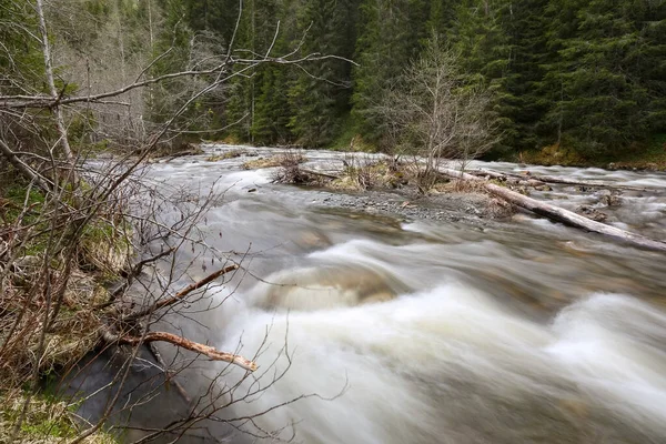 Norveç 'te bahar seli, Trondelag' da Selbu Gölü yakınlarında.