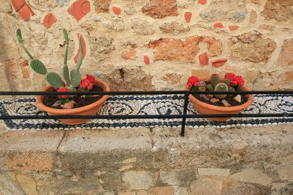 Seramik vazoda kaktüslü sanat çiçeği kurulumu 