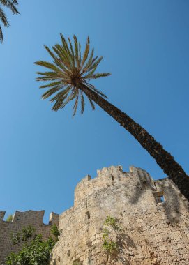 Yunanistan 'ın Rodos kentindeki ortaçağ antik kentinin etrafındaki bahçede
