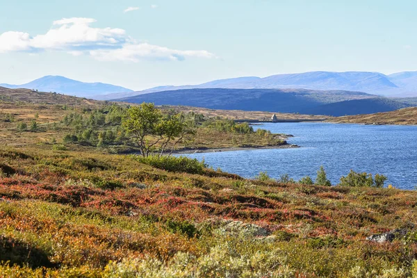 ノルウェーの秋 ノルウェーのKvikne自治体にあるStor Sverje湖の景色 — ストック写真