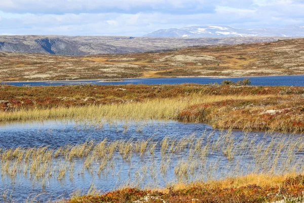 Queda Noruega Vista Para Pântano Parque Nacional Forollhogna — Fotografia de Stock