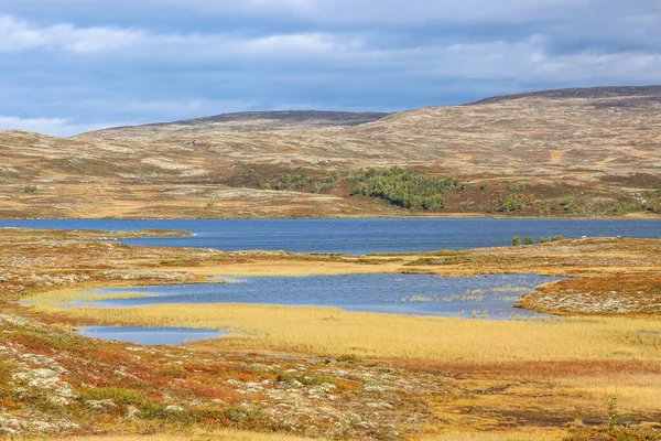 Val Noorwegen Uitzicht Het Moeras Het Forollhogna National Park — Stockfoto