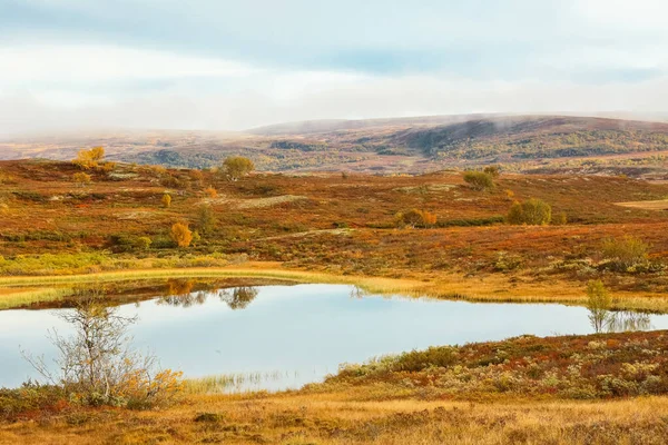 ノルウェーの中央部に位置するフォルロホーナ国立公園のインドの夏 — ストック写真