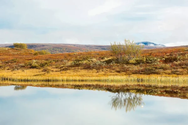 Indian Lato Forollhogna National Park Położony Centralnej Części Norwegii — Zdjęcie stockowe