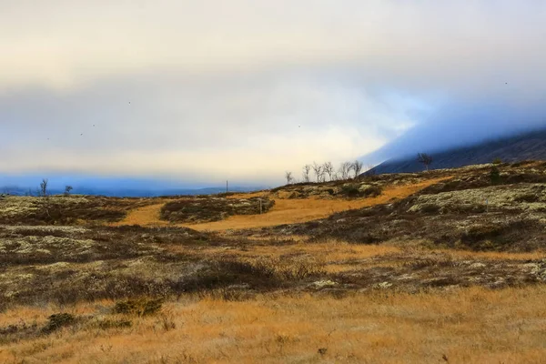 Caída Parque Nacional Forollhogna Primera Helada Las Montañas Zona Para —  Fotos de Stock