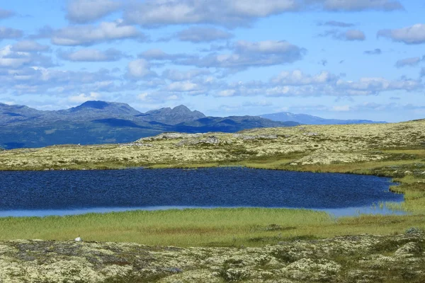 位于挪威中部的Innerdalen Innset 湖泊和沼泽地的空中景观 — 图库照片