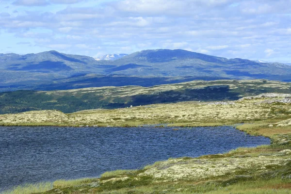 Aerial View Mountains Lakes Swamp Innerdalen Innset Located Central Part — 스톡 사진