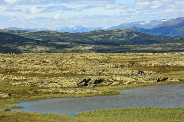 Aerial View Mountains Lakes Swamp Innerdalen Innset Located Central Part — ストック写真