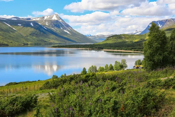 The lake Gjevillvatnet located in Troendelag, Norway , in the summer
