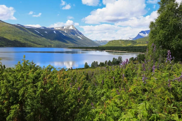 Lake Gjevillvatnet Located Troendelag Norway Summer — 스톡 사진