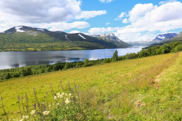 The lake Gjevillvatnet located in Troendelag, Norway , in the summer