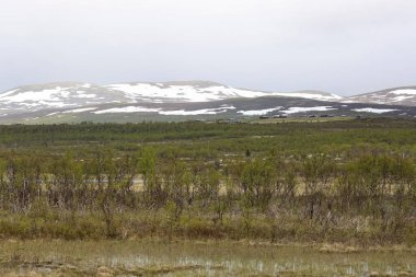 Fokstumyra Nature Reserve is a nature reserve  in Dovrefjell, in the municipality of Dovre. It   was the first nature reserve in Norway. The area is known for its rich bird fauna and plant diversity.