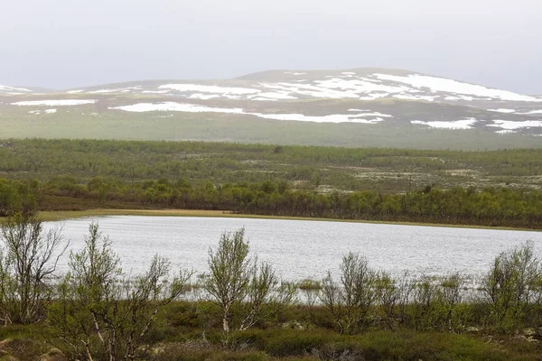 Fokstumyra Nature Reserve is a nature reserve  in Dovrefjell, in the municipality of Dovre. It   was the first nature reserve in Norway. The area is known for its rich bird fauna and plant diversity.