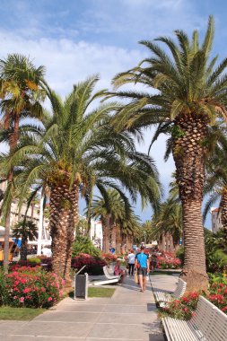 Split,quay,cathedral