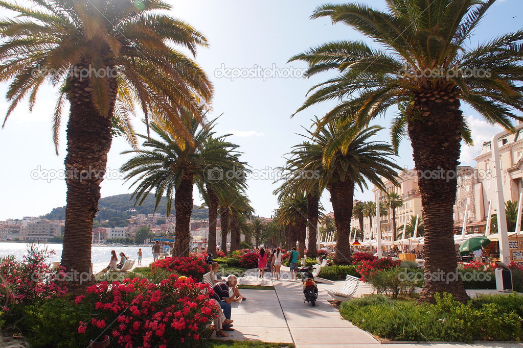 Split,quay,cathedral